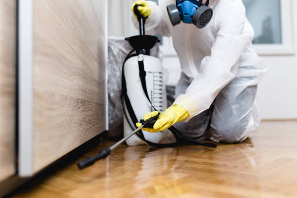 Wasp Removal Services in White Pigeon, MI