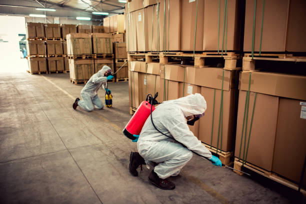 Best Exterminator Services  in White Pigeon, MI
