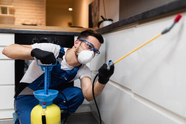 Best Termite Control Services  in White Pigeon, MI