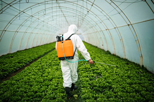Best Pest Inspection Near Me  in White Pigeon, MI