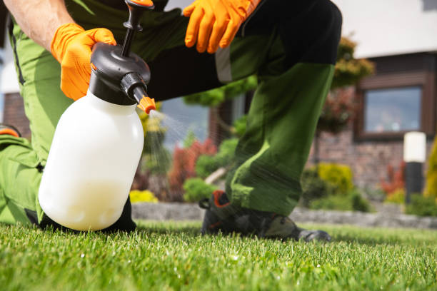 Best Affordable Pest Control Services  in White Pigeon, MI