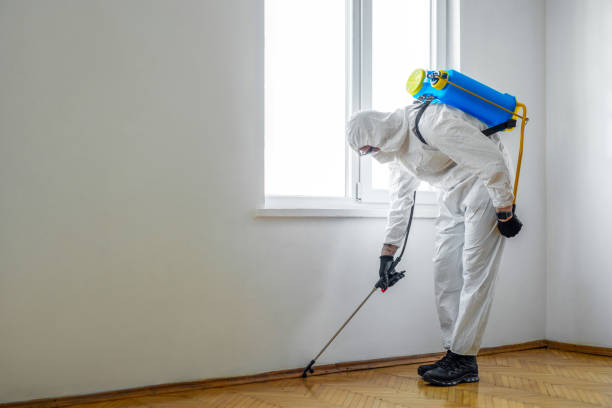 Best Commercial Pest Control Services  in White Pigeon, MI