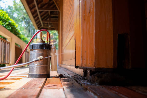 Best Pest Prevention Services  in White Pigeon, MI