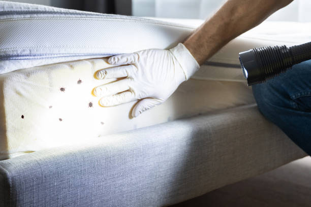 Flea Control Services in White Pigeon, MI