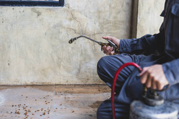 Best Termite Control Services  in White Pigeon, MI