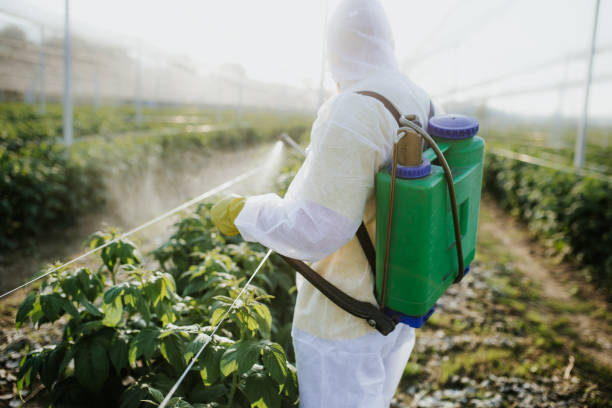 Best Best Pest Control Companies  in White Pigeon, MI